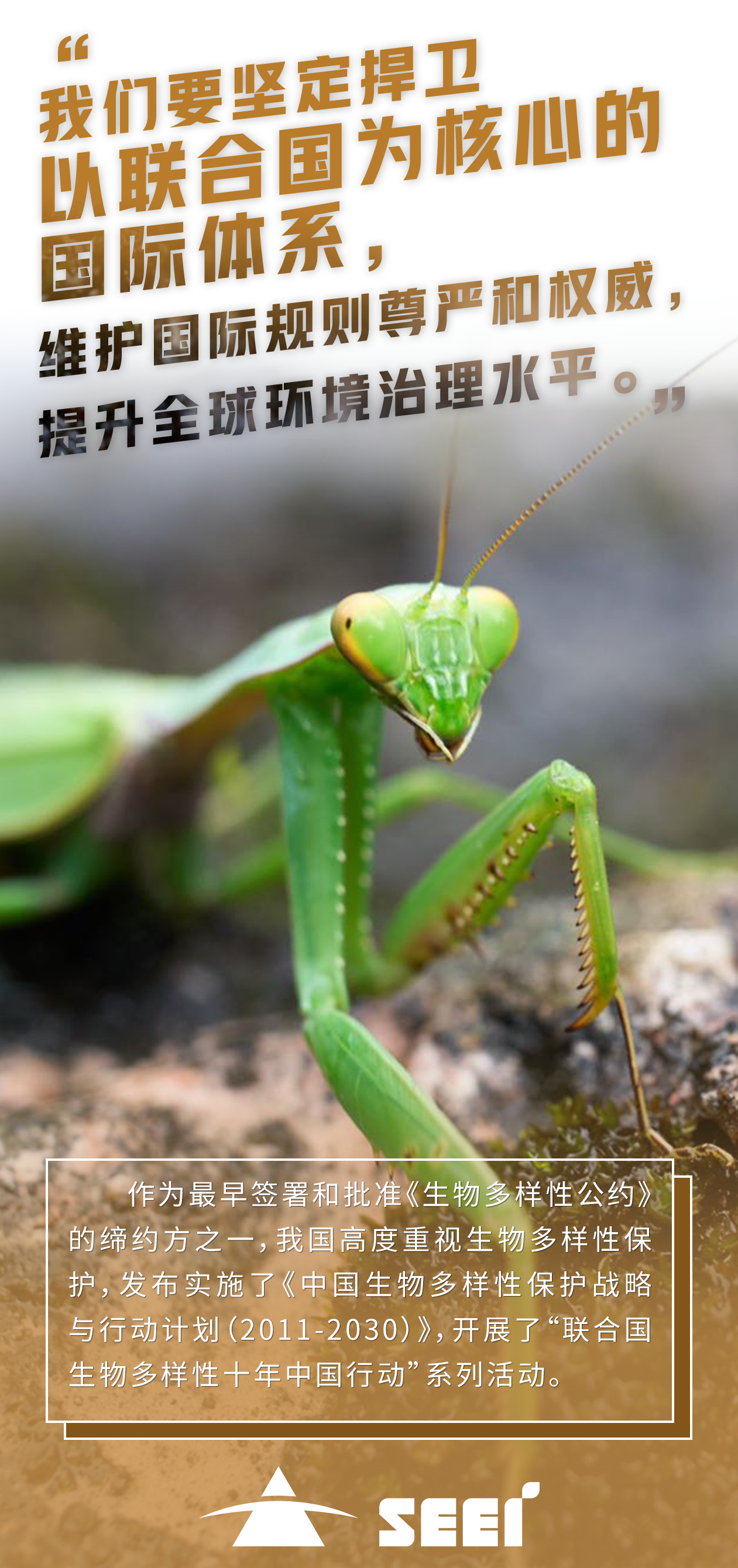 6四川金沙js93252集团-陈奕阳